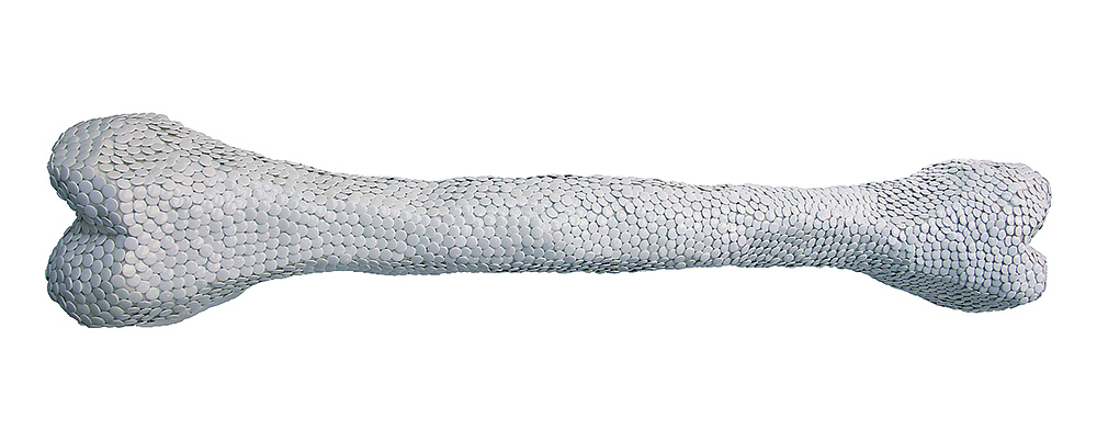 E-bone, 2004 – punaises sur sagex / thumbtacks on sagex – 16 x 87 x 16 cm.